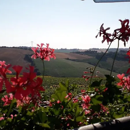 Lo Scrigno Di Simon 3* סניגליה