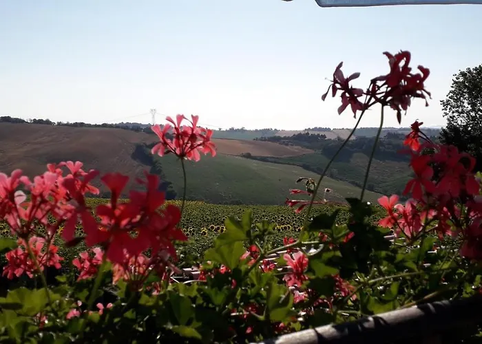 Lo Scrigno Di Simon 3* Senigallia